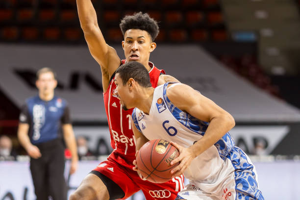 毛球明星 毛球明星